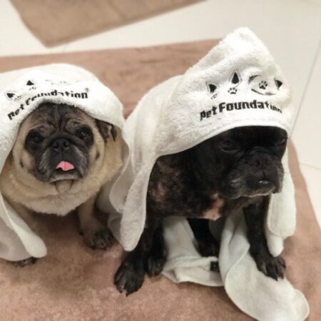 Toalha de Banho Pet - Pet Foundation