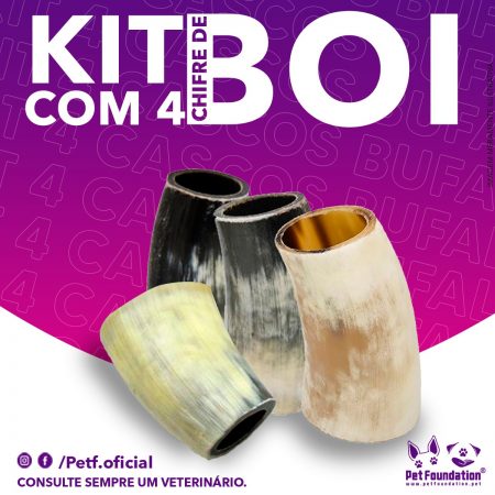 Kit Chifre de Boi - Pet Foundation