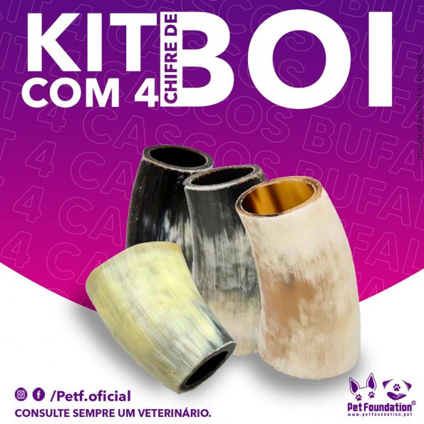 Kit Chifre de Boi - Pet Foundation