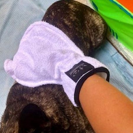 Luva de Toalha para Secar Pet - Pet Foundation