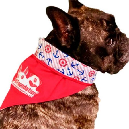 Bandana Pet Foundation