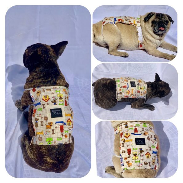 Almofada Terapêutica para Pet - Pet Foundation