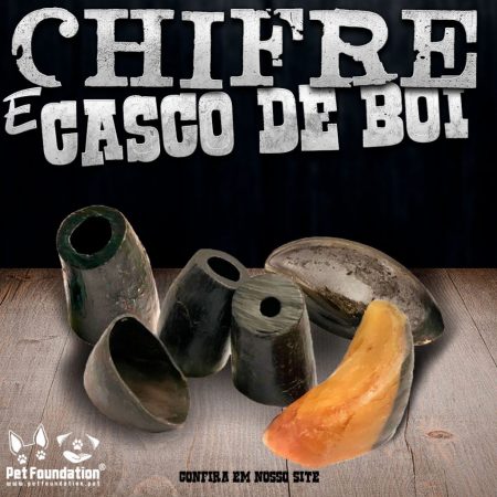 Kit Chifre e Casco de Boi - Pet Foundation