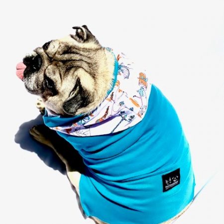 Roupinha Bike - Pet Foundation