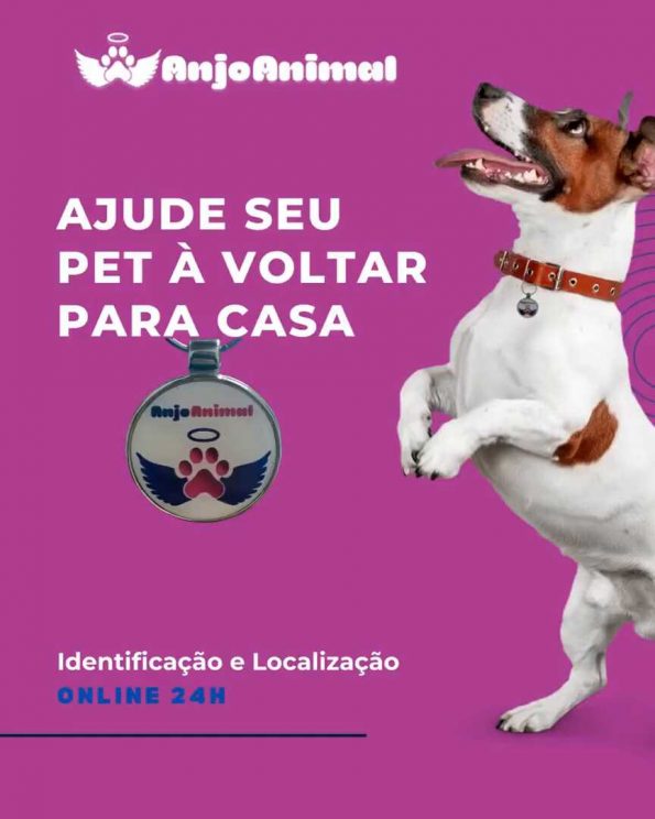 Smart Tag Anjo Animal