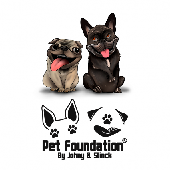 Camiseta manga curta Masculina Caricatura - Pet Foundation