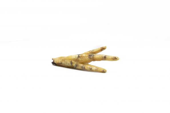 Pés de Pato Petisco Natural para Cães - Lecker
