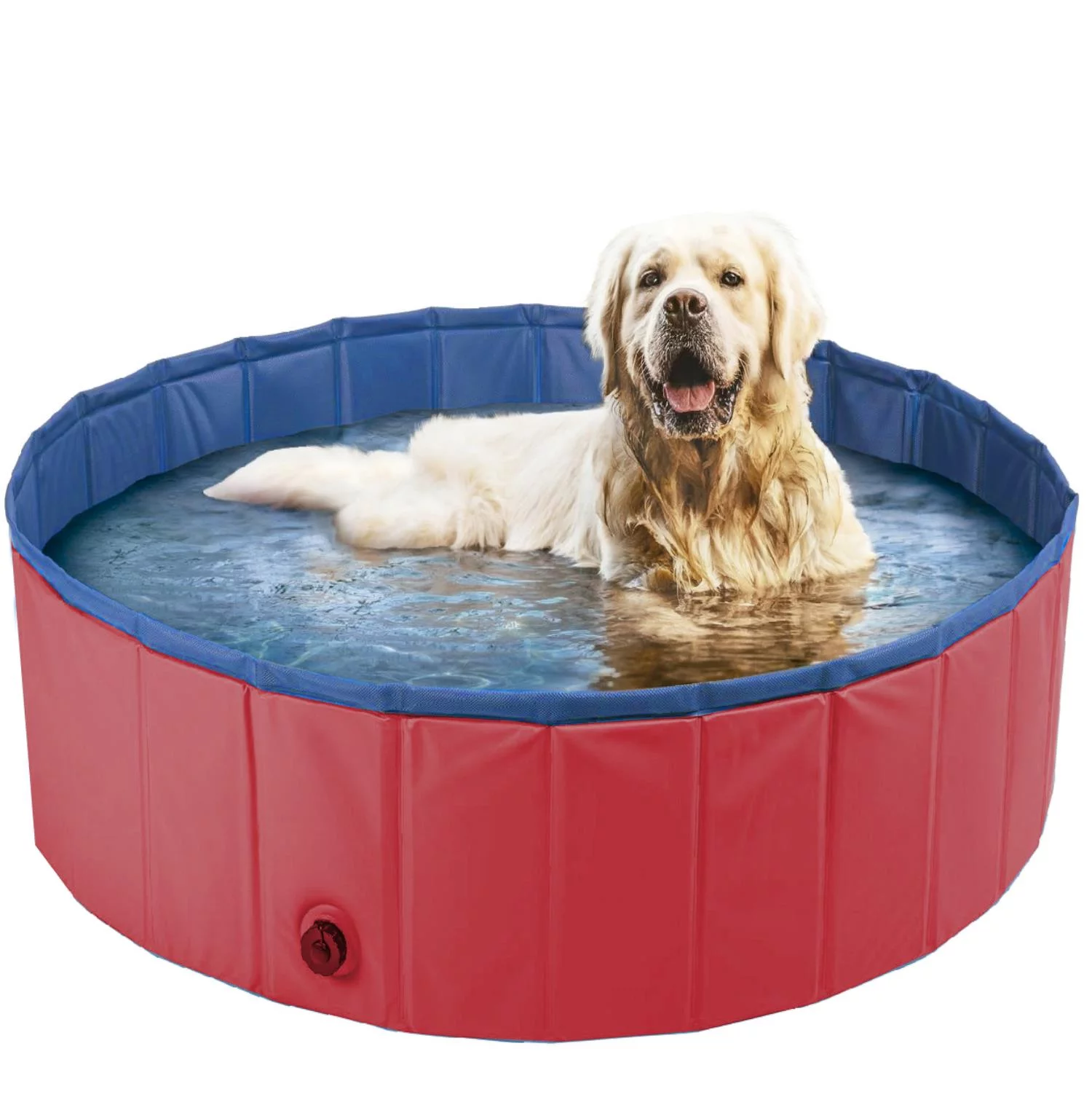 Piscina para Cachorro (Pet)