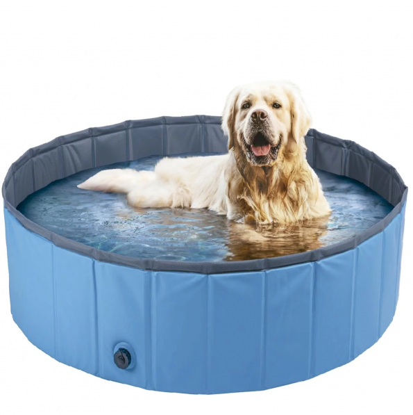 Piscina para Cachorro (Pet)