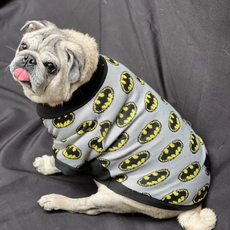 Roupinha Camiseta de Linha - Pet Foundation