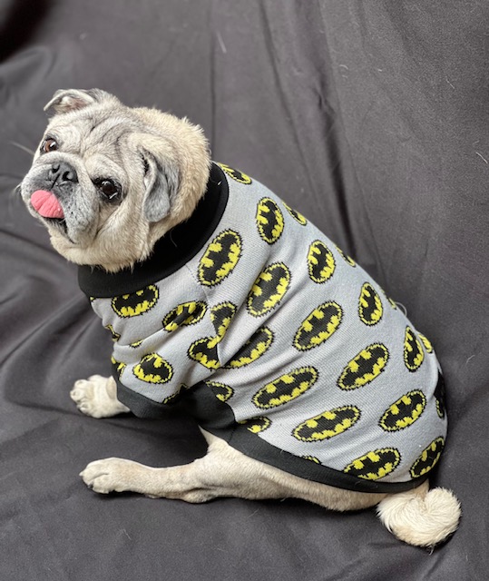 Roupinha Camiseta de Linha - Pet Foundation