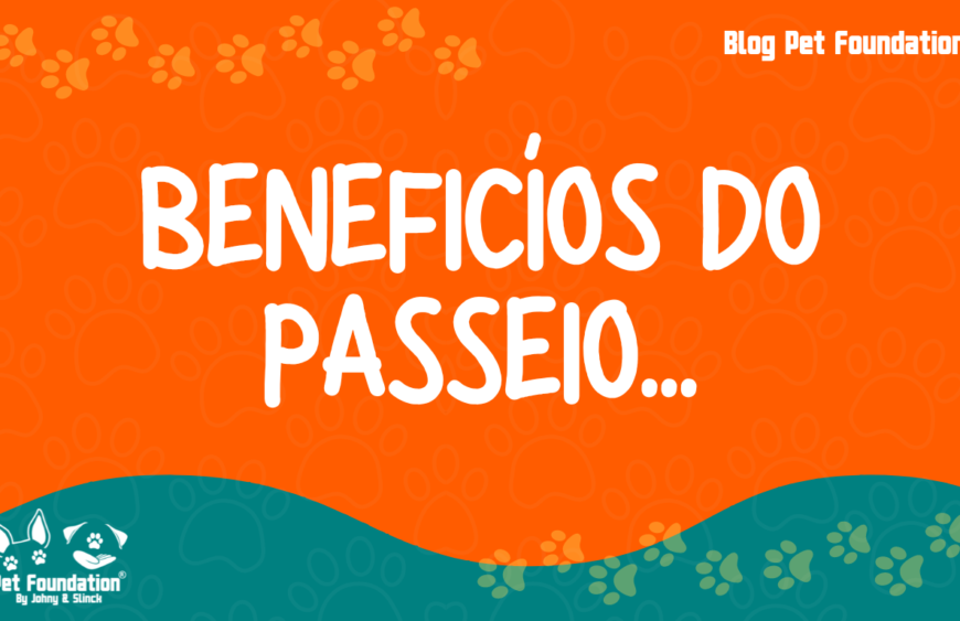 beneficios_do_passeio