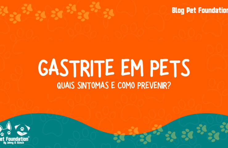 post_Gastrite em pets