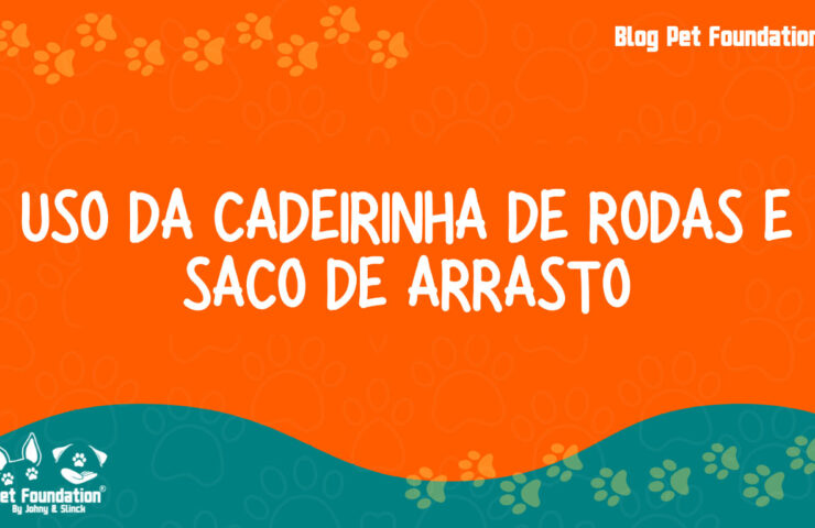 post_USO DA CADEIRINHA DE RODAS E SACO DE ARRASTO