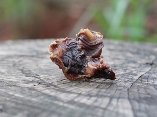 Petisco Moela de Pato - Lecker