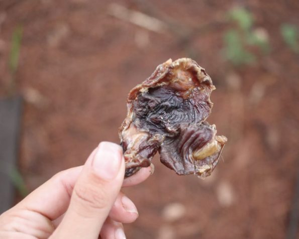 Petisco Moela de Pato - Lecker