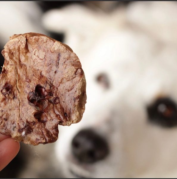 Snack para Caes - Sarapatel Suino