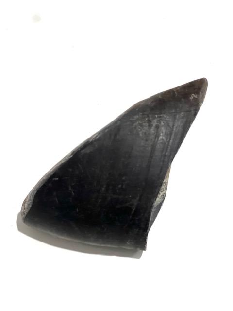 Casco de Bufalo