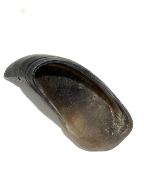 Casco de Bufalo
