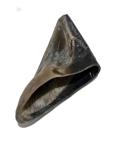Casco de Bufalo