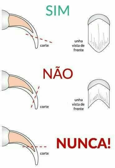 ALICATE + LIXA DE UNHAS