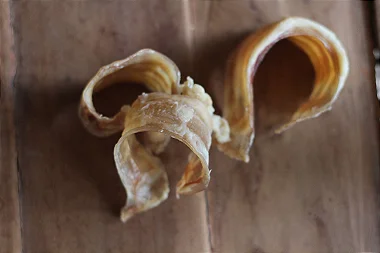 Mini Traqueia Bovina - Lecker